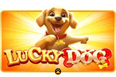 mmk777 apk ဂိမ်းလော်ဘီ Slots Live Casino Esports အမျိုးအစားများ